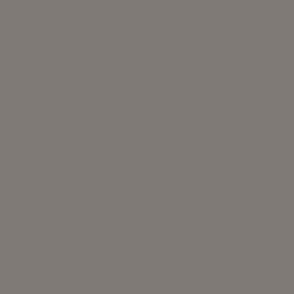 Open Cassette 70mm Ex Lite Blackout Slate Roller Blind