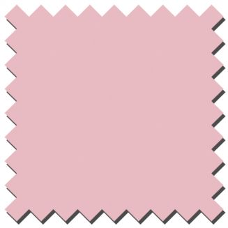 Banlight Duo Fr Pink Roller Blind