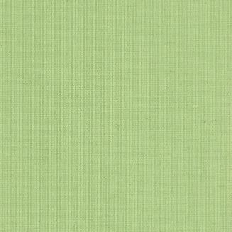 Polaris Green Grip Fit Roller Blind