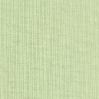 Polaris Pear Grip Fit Roller Blind