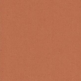 Polaris Rust Grip Fit Roller Blind
