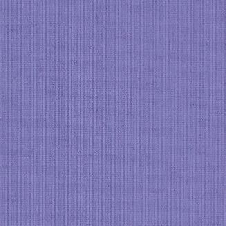 Polaris Violet Grip Fit Roller Blind