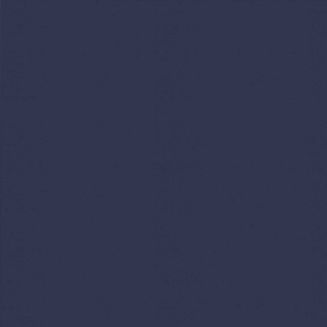 Banlight Duo Fr Navy Roller Blind