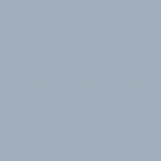 Banlight Duo Fr Smokey Blue Roller Blind