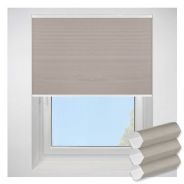 Elevate Hive Deluxe Nutshell