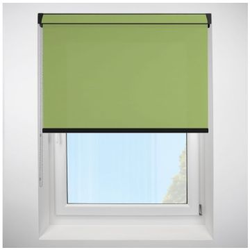 Polaris Green Grip Fit Roller Blind with Black Cassette