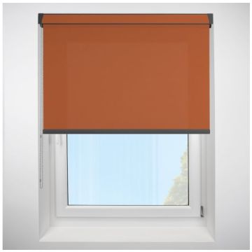 Polaris Rust Grip Fit Roller Blind with Anthracite Cassette