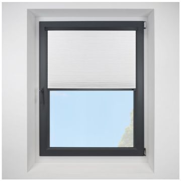 Intu Hive Deluxe Blackout Swan Pleated Blind With Anthracite Cassette