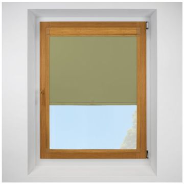 Banlight Duo Fr green Perfect Fit RollerPleated Blind