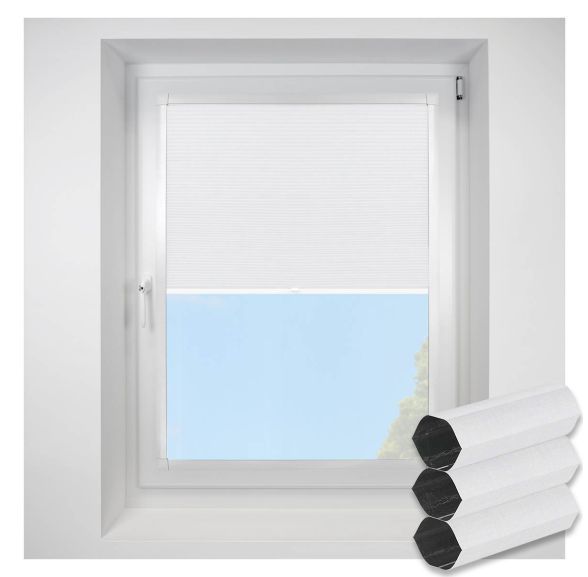 Deluxe Blackout swan Perfect Fit RollerPleated Blind