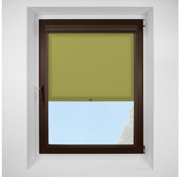 Splash vine Perfect Fit RollerPleated Blind