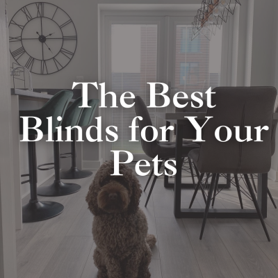 The Best Blinds for Homes with Pets