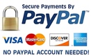 PayPal Logo